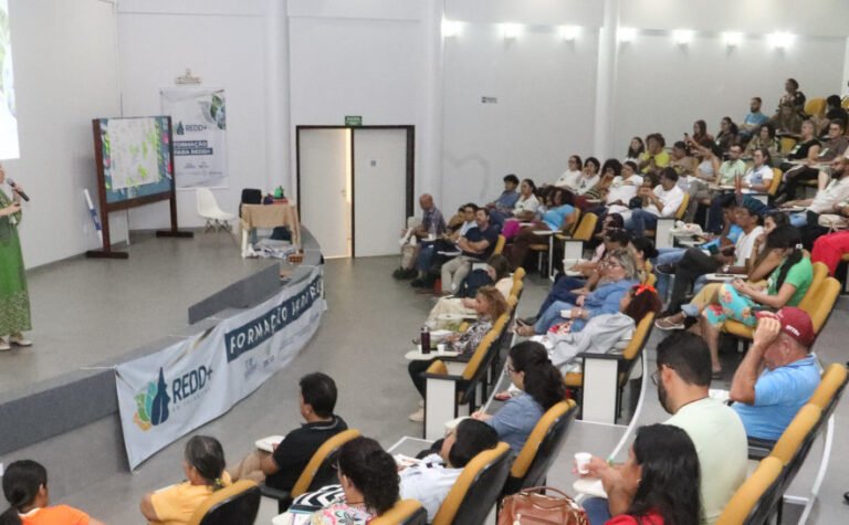 De iniciativa do Governo do Tocantins, o Programa Jurisdicional de REDD+ continua processo de Consulta Livre Prévia e Informada com comunidades para diálogo sobre florestas e mudanças climáticas
