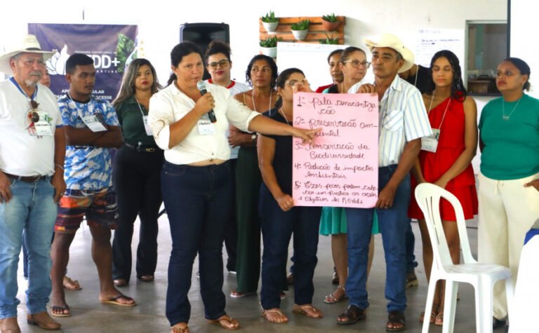Oficinas Participativas do Programa Jurisdicional de REDD+ são realizadas em Araguaína com representações da agricultura familiar de 10 municípios