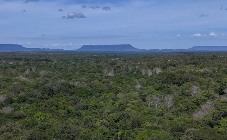 Jalapão vista aérea proxima da Cachoeira da Formiga. - Foto: Foto Marcel de Paula.JPG