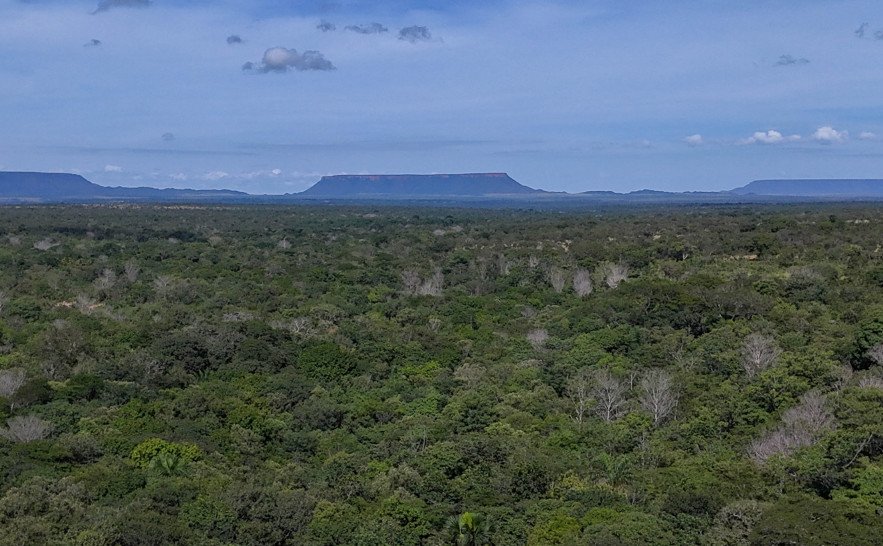 Jalapão vista aérea proxima da Cachoeira da Formiga. - Foto: Foto Marcel de Paula.JPG